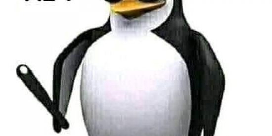 Imagem do grupo de WhatsApp ꧁ ji💎mi💎n dos 〠 bete 💎