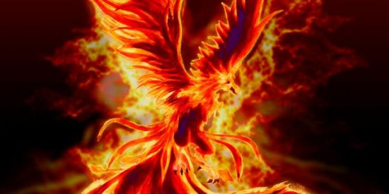 Imagem do grupo de WhatsApp Ordem da fênix🔥🔥🔥