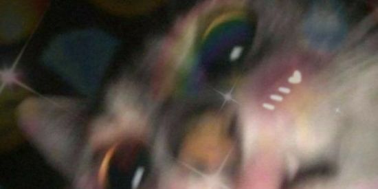 Imagem do grupo de WhatsApp Só resenha 2021✨