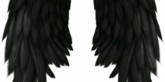 Imagem do grupo de WhatsApp 🇧🇷  SHIT_ANJOS CAIDOS BR 🇧🇷