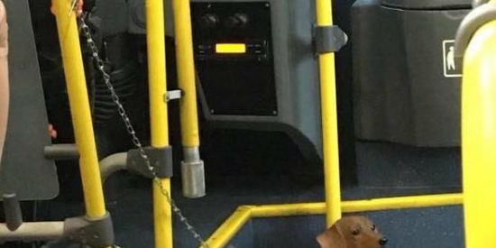 Imagem do grupo de WhatsApp 👽-αliєท ωσrl∂-👽