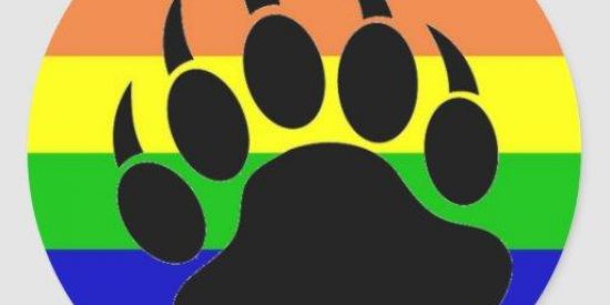 Imagem do grupo de WhatsApp URSOS