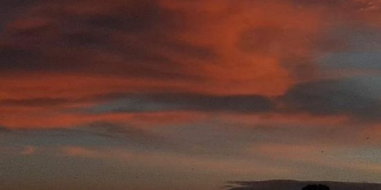 Imagem do grupo de WhatsApp CURURUS 🐸🐸🐸