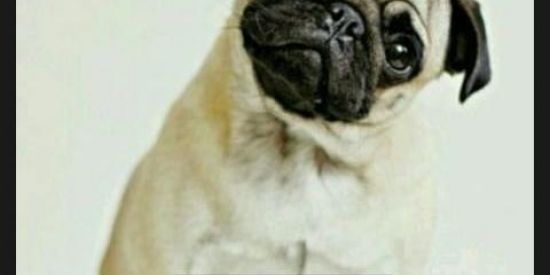 Imagem do grupo de WhatsApp Amizade verdaderas