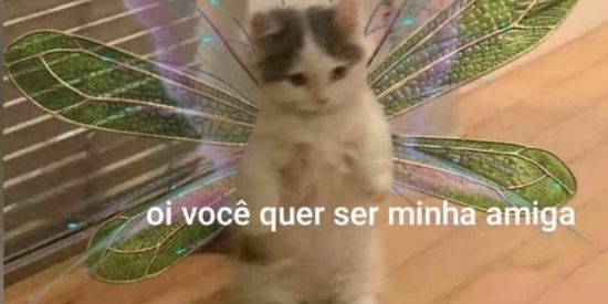 Imagem do grupo de WhatsApp ✨Novas Amizades✨