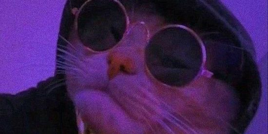 Imagem do grupo de WhatsApp ✨🤡Br amigar?🤡✨