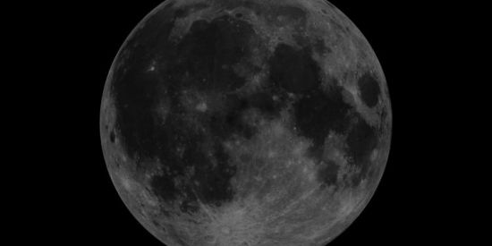 Imagem do grupo de WhatsApp Seguidores