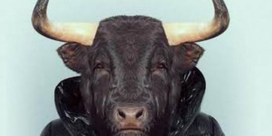 Imagem do grupo de WhatsApp Bando de cornos