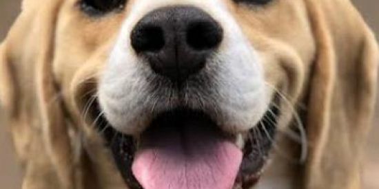 Imagem do grupo de WhatsApp Em garota entra nesse gp彡