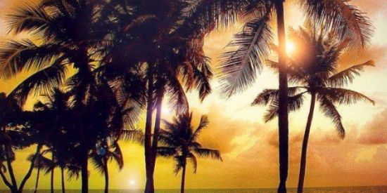 Imagem do grupo de WhatsApp 🌴Sᴜɴ Cɪᴛʏ🌴