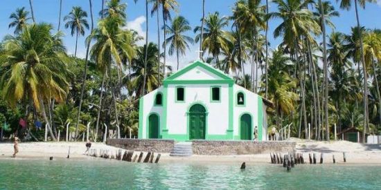 Imagem do grupo de WhatsApp PNZ