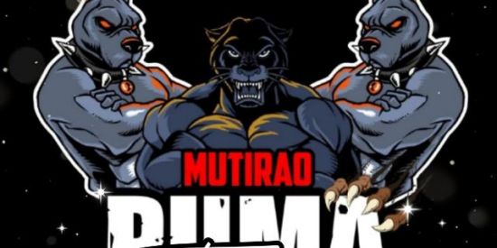 Imagem do grupo de WhatsApp 🐯⃤TRIAGEM  PUMA【Ƥɱ'ʂ】🐯⃤