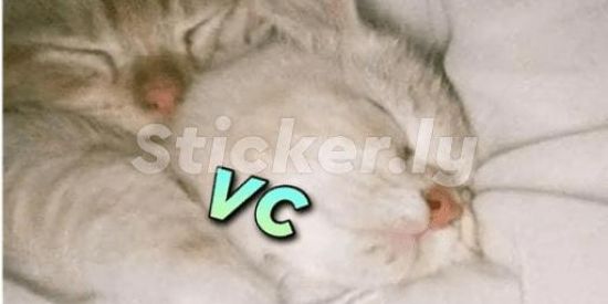 Imagem do grupo de WhatsApp Proibido se apaixonar