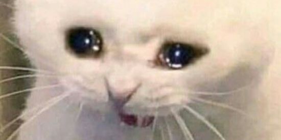 Imagem do grupo de WhatsApp Amizade 😎🤙