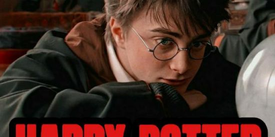 Imagem do grupo de WhatsApp 👑•ɪթ'ร•||•нαяяy ρσттєя🔮