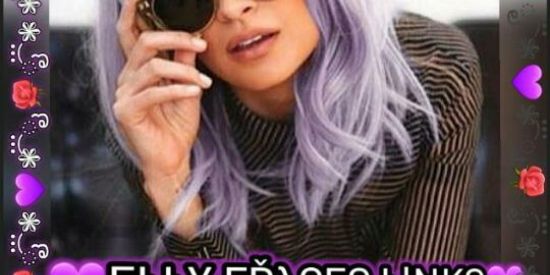 Imagem do grupo de WhatsApp 📌Elly links frases figurinha 📌