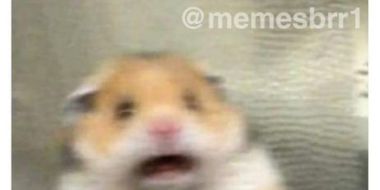 Imagem do grupo de WhatsApp Amizades novas🔥