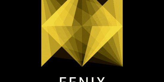 Imagem do grupo de WhatsApp 🔶FENIX_INFLUENCIADORES🔶