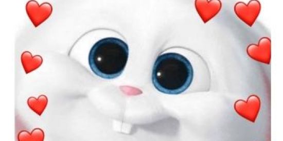 Imagem do grupo de WhatsApp Figurinhas✨