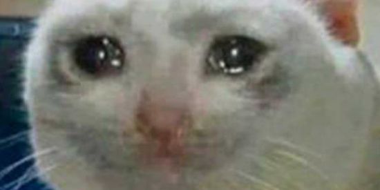 Imagem do grupo de WhatsApp Amigos virtuais