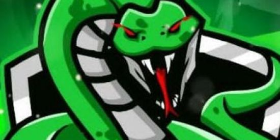 Imagem do grupo de WhatsApp Seguidores de graça 😱♥️