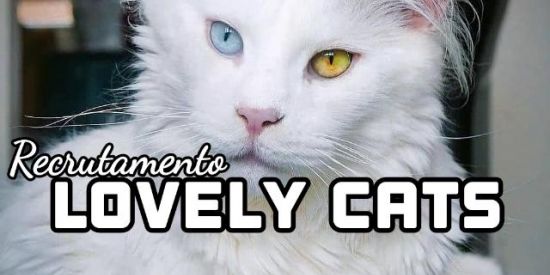 Imagem do grupo de WhatsApp яє¢яυтαмєηтσ 53♛•ᏞᏟ'ร•♛