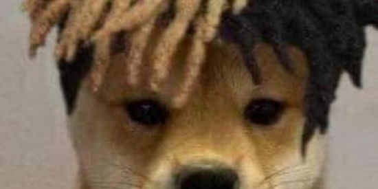 Imagem do grupo de WhatsApp 🇧🇷CONTATOS🇧🇷