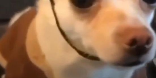 Imagem do grupo de WhatsApp Figurinhas🍦