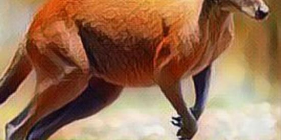 Imagem do grupo de WhatsApp R͟ép͟l͟i͟c͟a͟🦘