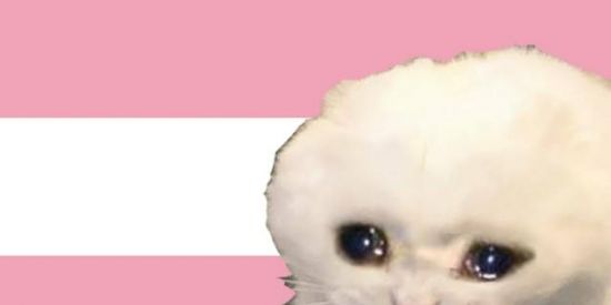 Imagem do grupo de WhatsApp LGBTrouxa🌈🏳‍⚧🏳️‍🌈