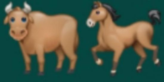 Imagem do grupo de WhatsApp Só se for de gado