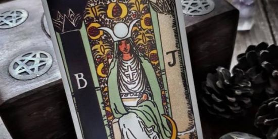 Imagem do grupo de WhatsApp Tarrot Brasil🃏