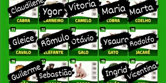 Imagem do grupo de WhatsApp RIFAS DO BICHO✅🦃🐃🐯🐻