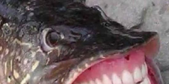 Imagem do grupo de WhatsApp Ʞʞʞʞʞʞʞʞʞʞʞʞʞʞʞʞʞʞʞʞʞʞʞʞʞ