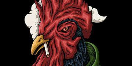 Imagem do grupo de WhatsApp 🐔GalinΉΣIЯӨ🐔