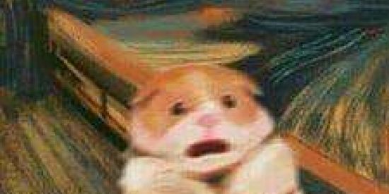 Imagem do grupo de WhatsApp 🎭🤪Zuera Total🤪🎭