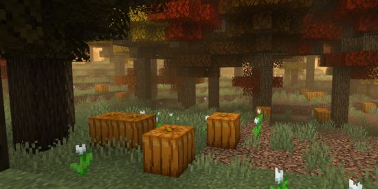 Imagem do grupo de WhatsApp Minecraft  vamos jogar