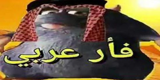 Imagem do grupo de WhatsApp Zorra Total 🤡