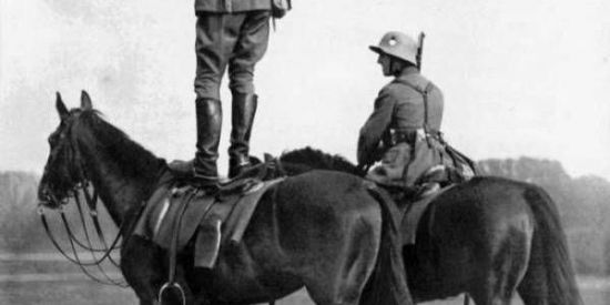 Imagem do grupo de WhatsApp OS SHELBY 2.0