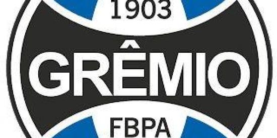 Imagem do grupo de WhatsApp Os guri do Grêmio🇧🇼💙💙