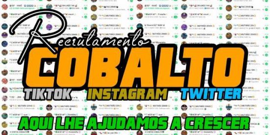 Imagem do grupo de WhatsApp 🦋RECRUTAMENTO COBALTS🦋