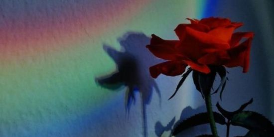 Imagem do grupo de WhatsApp Namoro ou amizade😊