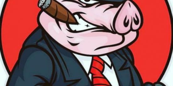 Imagem do grupo de WhatsApp SUÍNOCULTURA INFORMAÇÕES🐷