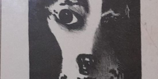 Imagem do grupo de WhatsApp Umbanda & Filosofia