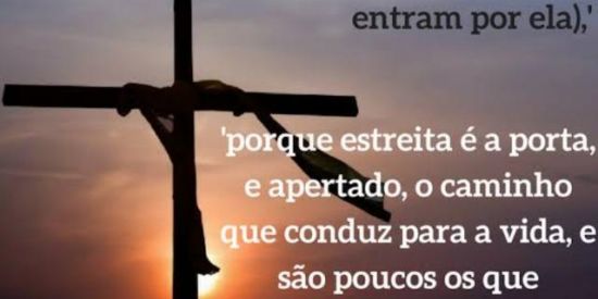 Imagem do grupo de WhatsApp NASCER DE NOVO