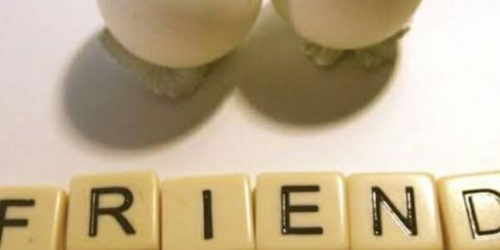 Imagem do grupo de WhatsApp O mundo é nosso ❗