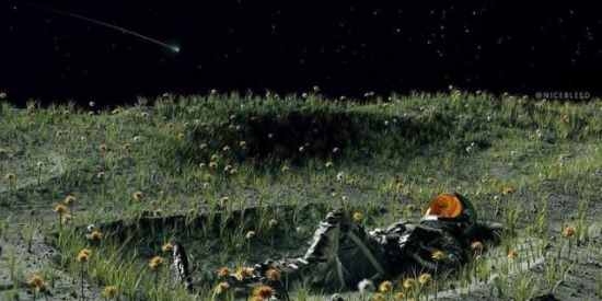 Imagem do grupo de WhatsApp 🌕BROOKLYN 1986🌑