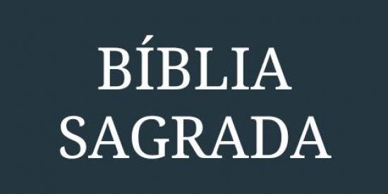 Imagem do grupo de WhatsApp PALAVRA VIVA