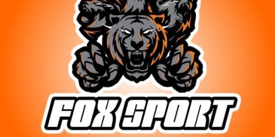 Imagem do grupo de WhatsApp FOX  SPORT