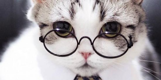 Imagem do grupo de WhatsApp ⛱️Conversa sem Fim⛱️